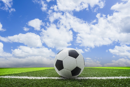 体育爱好者使用球探比分数据网